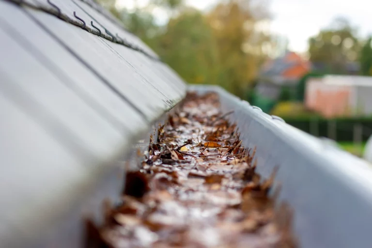 Gutters Services in Maryville